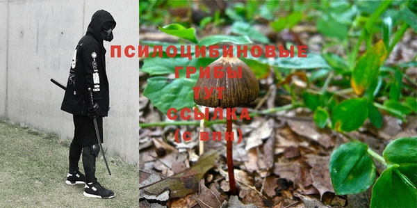стафф Алексин