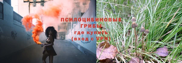 ECSTASY Алексеевка