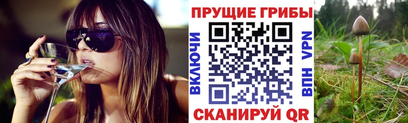 Галлюциногенные грибы ЛСД где можно купить наркотик Разумное